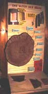 Musée de la Nature