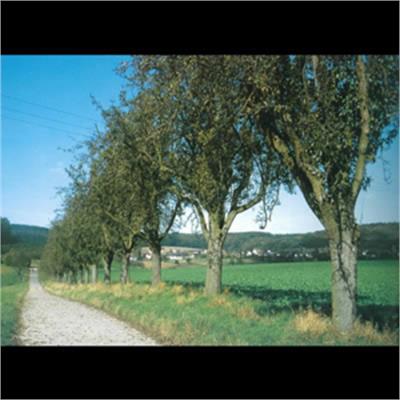 Difrulux - Distillerie Luxembourg