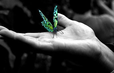 Cabinet de Sophrologie Deschamps Catherine