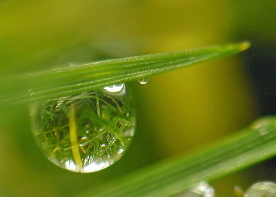 Cabinet de Sophrologie Deschamps Catherine