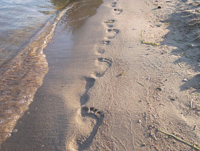 Cabinet de Sophrologie Deschamps Catherine