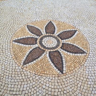 Boomerang Transports et Terrassements