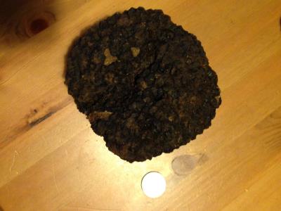 Délices de la Nature