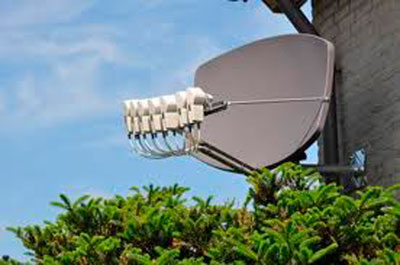 N°1 des bouquets portugais