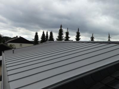 Artisan Couvreur / Ferblanterie / Charpente