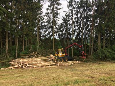 Wir freuen uns auf Ihre Kontaktaufnahme!