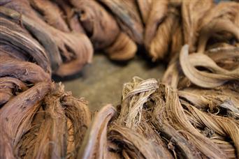 Fleuriste Danielle Grün