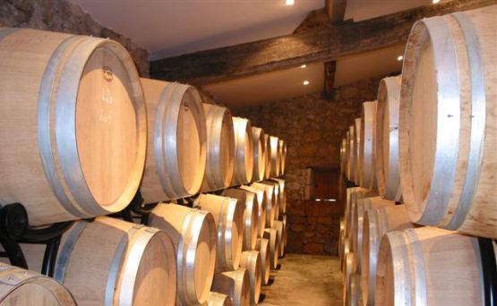 Aux nobles cépages Romain Thielen Beaufort Luxembourg vins