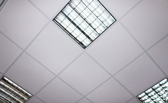 Rosa & Neves Constructions