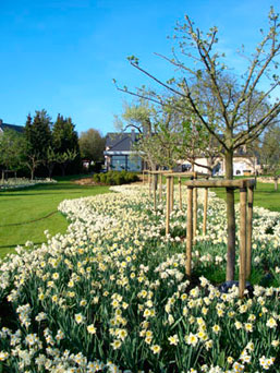 Winandy Pol Jardins