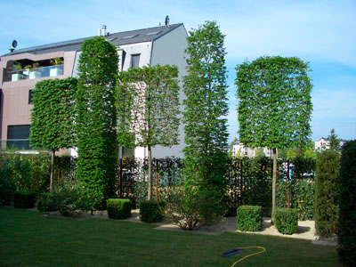 Winandy Pol Jardins