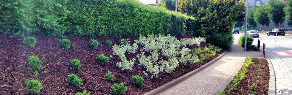 Aménagement extérieur