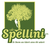 Spellini S.à.r.l.