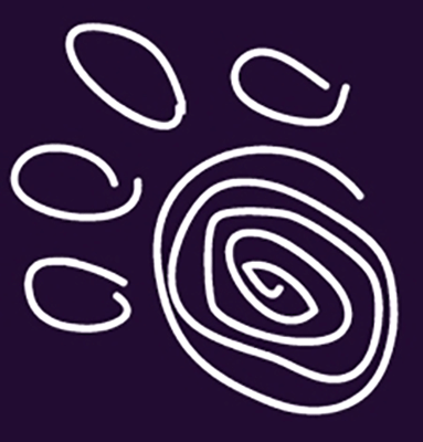 W4280800FIA.png