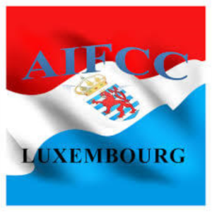 Logo Advense Innov Formation Coaching et Conseils  Luxembourg