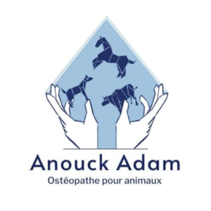 Logo Anouck ADAM - Ostéopathe pour animaux