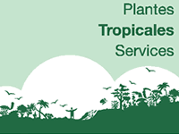 Plantes Tropicales Services