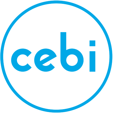 Cebi Luxembourg SA