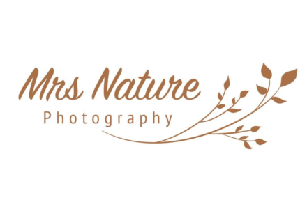 Mrs Nature Photography