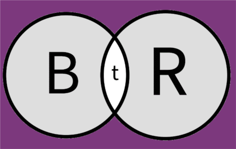 Back TO Reality SARL