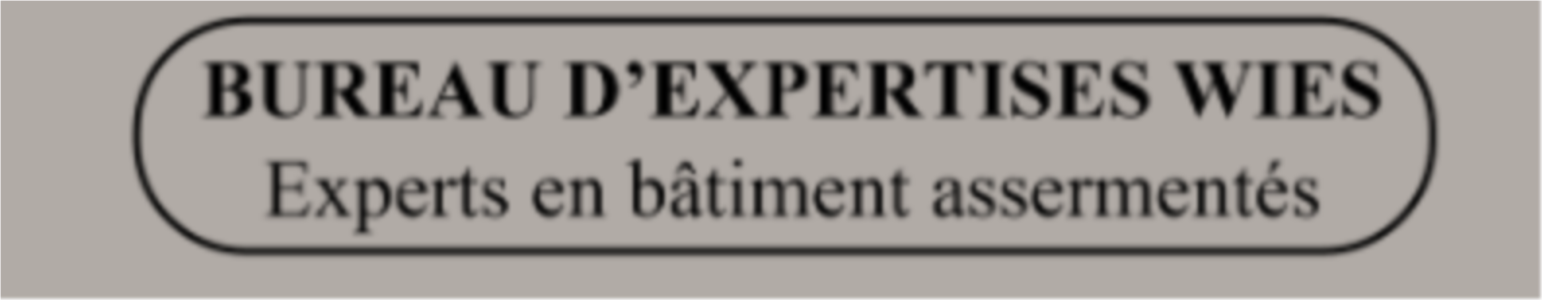 BUREAU D'EXPERTISES WIES SARL
