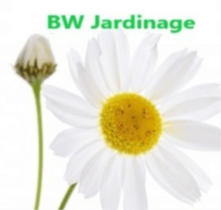 Logo BW Jardinage Sàrl