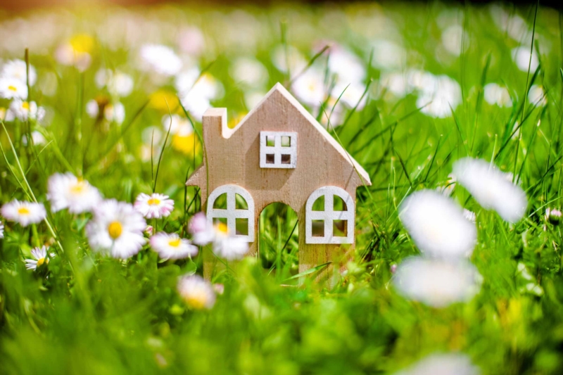 Entretien de sa maison au printemps