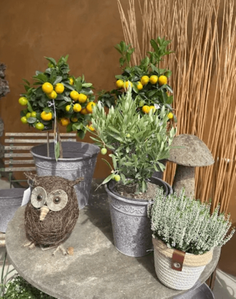 Décoration & Accessoires