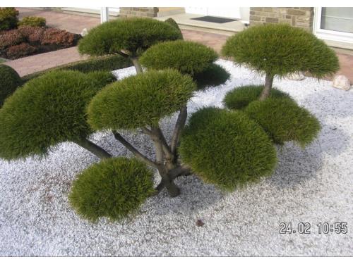 Aménagement de jardin