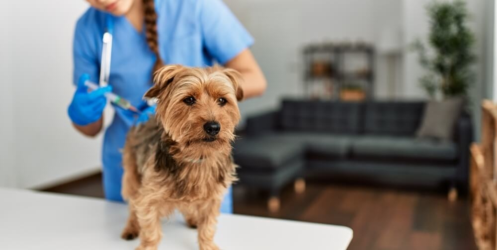 Médecine Préventive