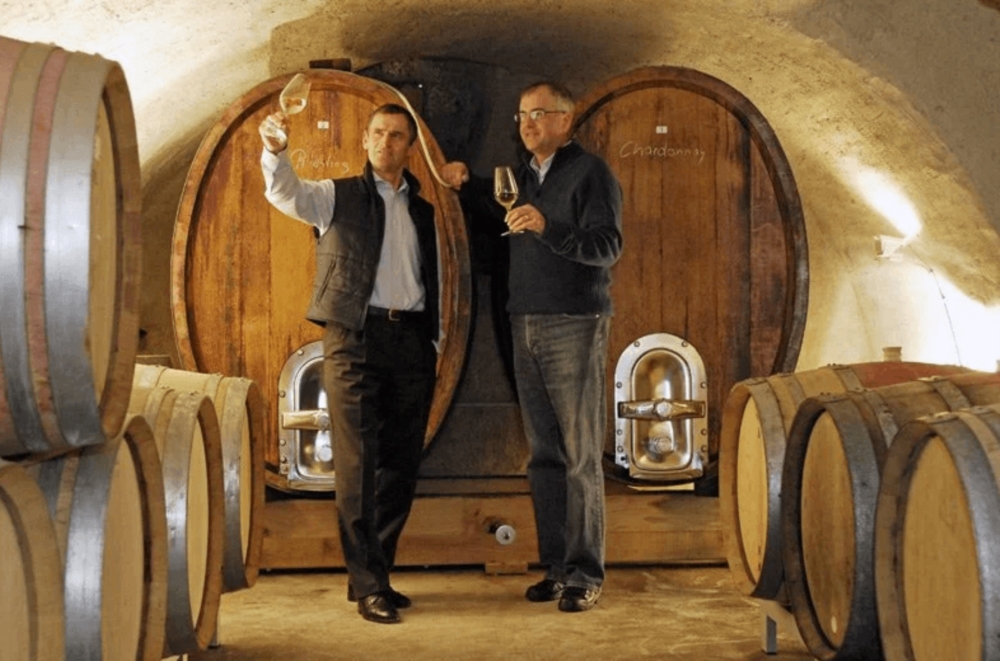 Dégustations & visites de cave