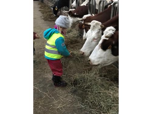 A la ferme