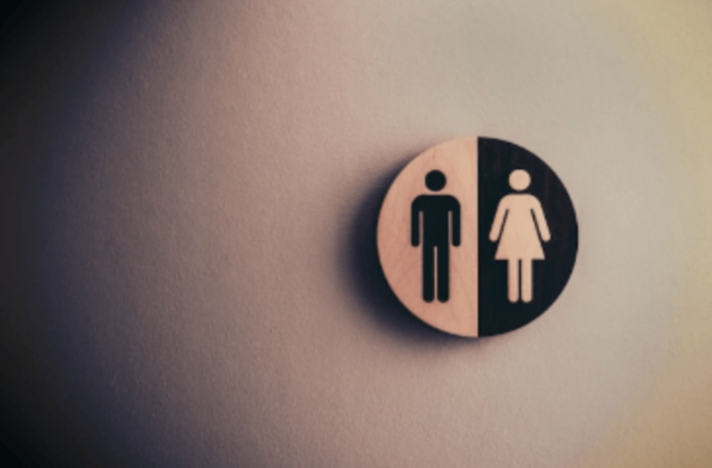 La demande en rectification de la mention relative au sexe