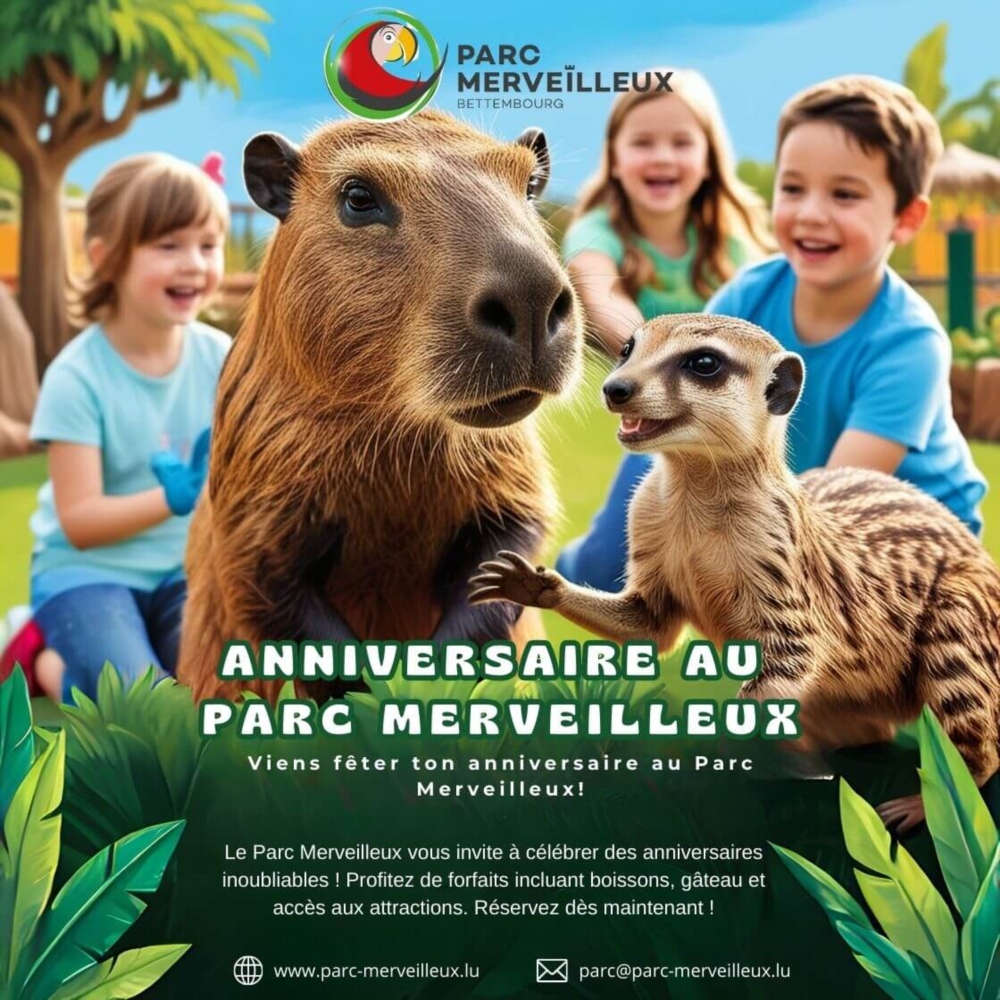 Anniversaire d'enfant (hors saison)