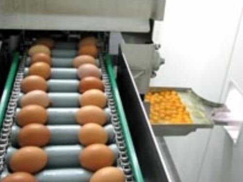 Entrée des oeufs dans la machine