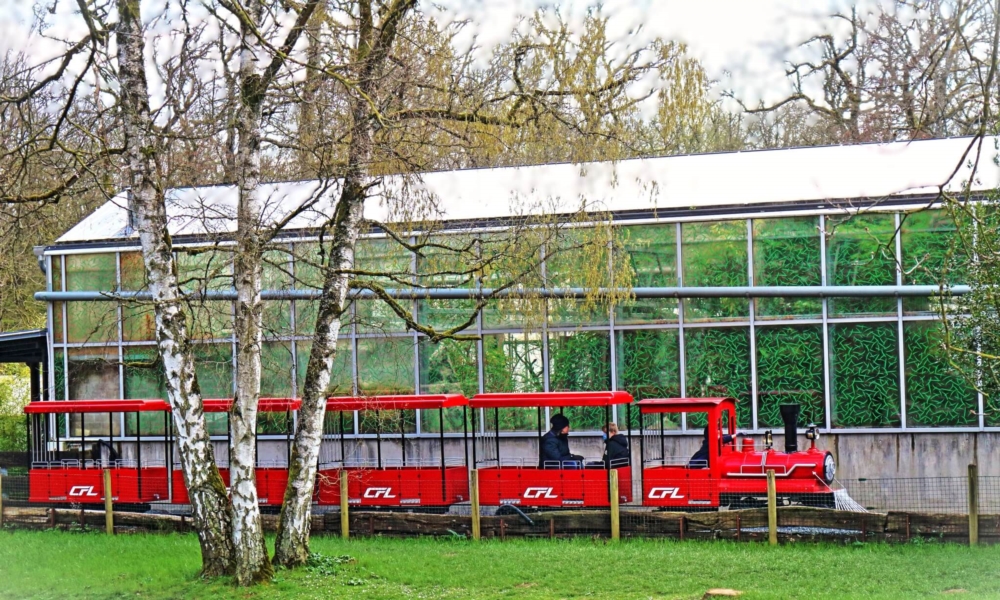 Rides and Attractions