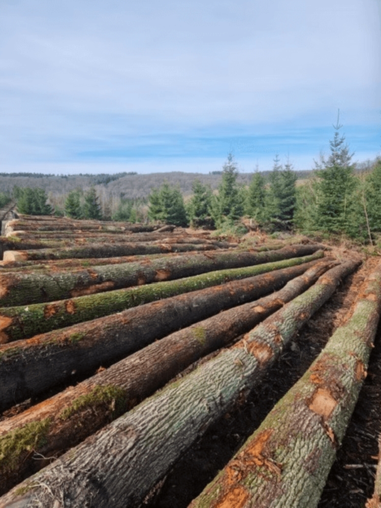 Conseil et accompagnement sur mesure