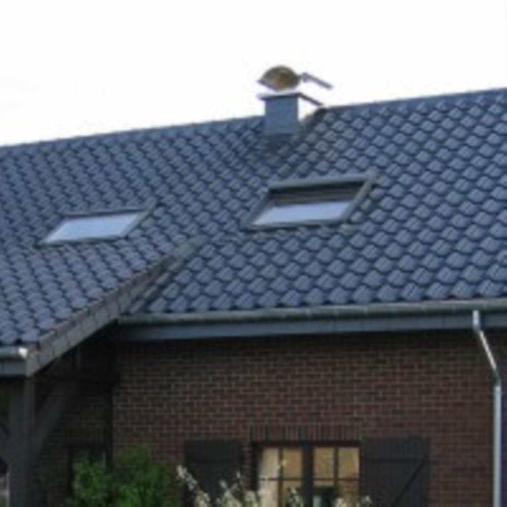  Schornsteinreinigung und reparatur
