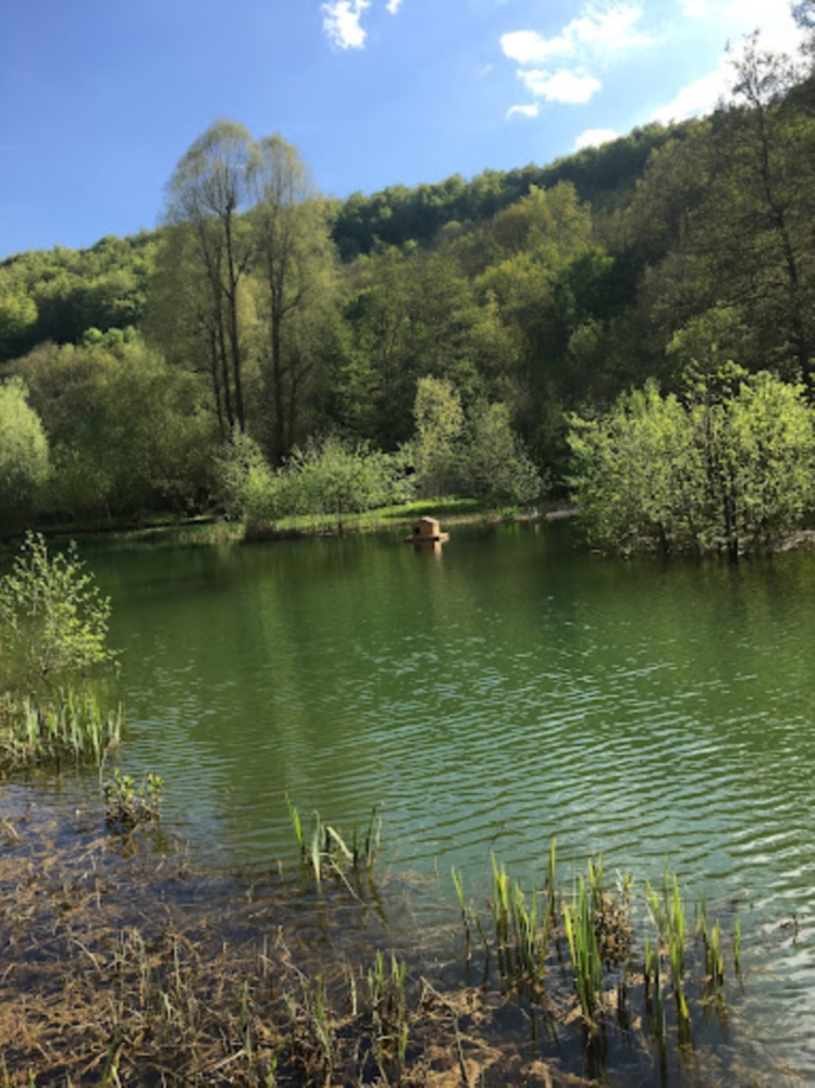 Cadre idyllique 