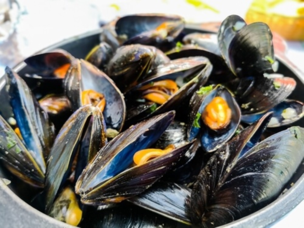 Menus saisonniers & créations du chef