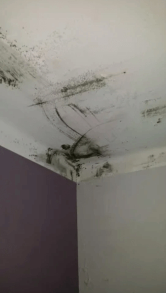 Stop à la condensation et à la moisissure dans la maison