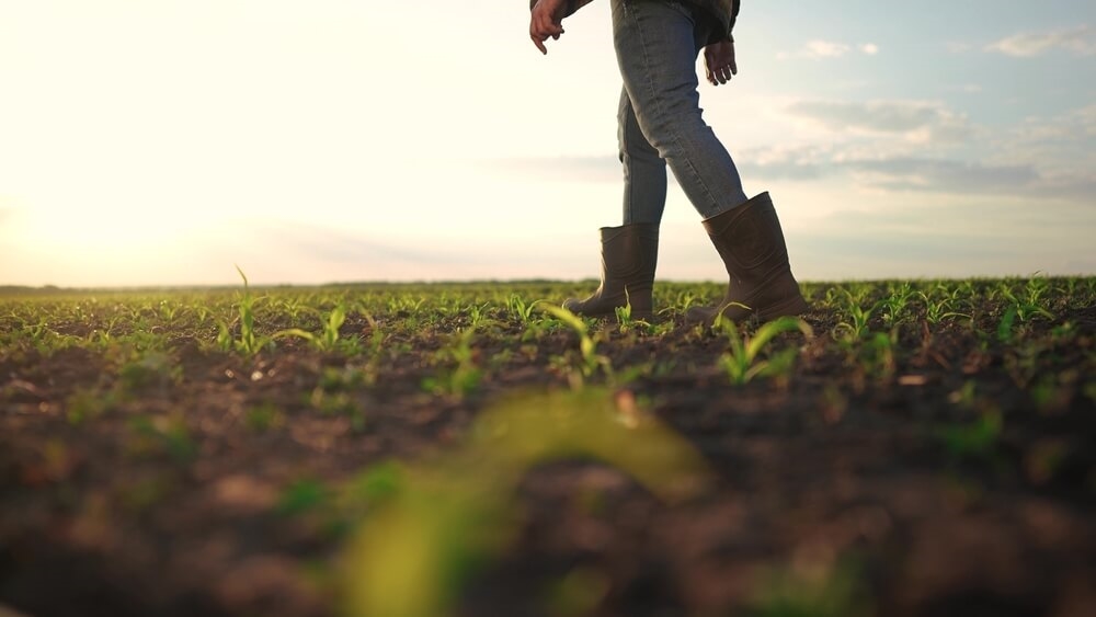 Un soutien concret pour les exploitations agricoles