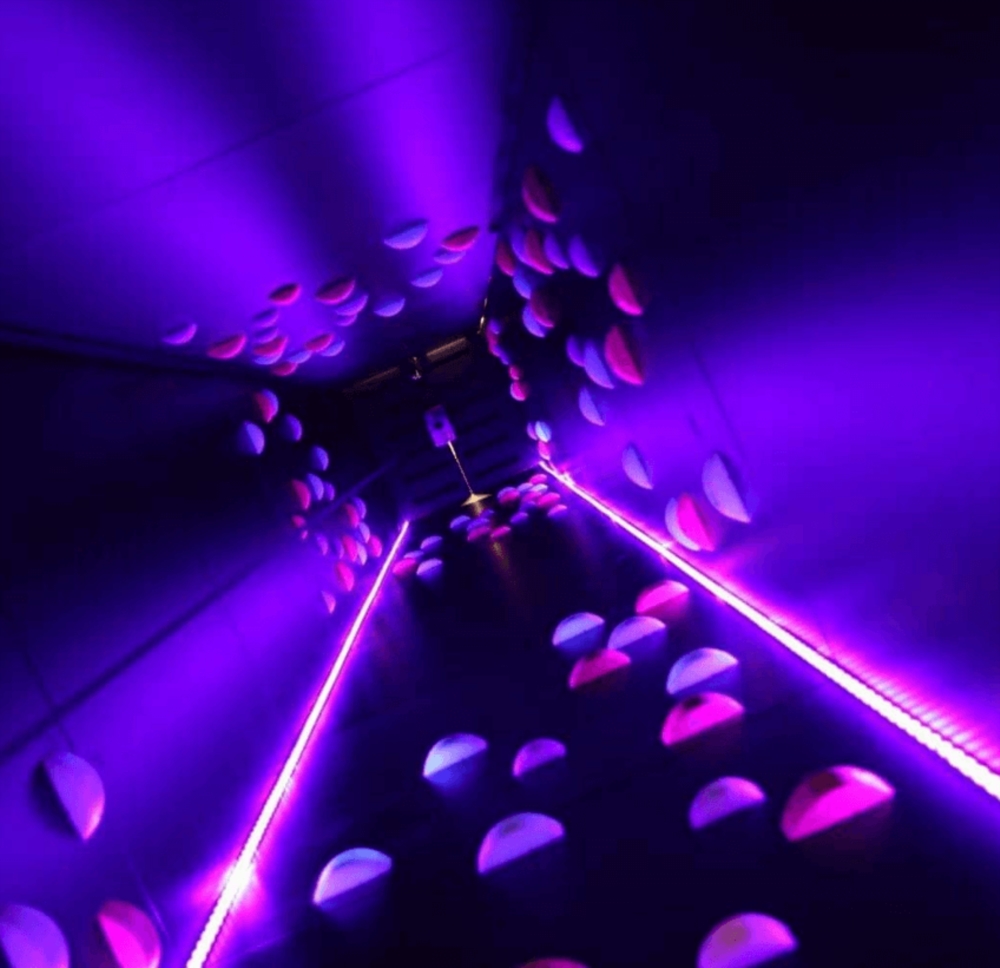 Une idée originale pour un team building 