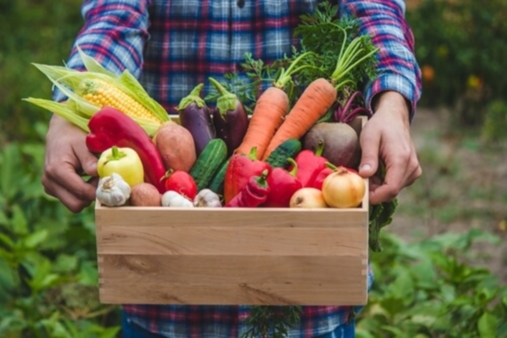 Obst und Gemüse AUS EISEM GAART