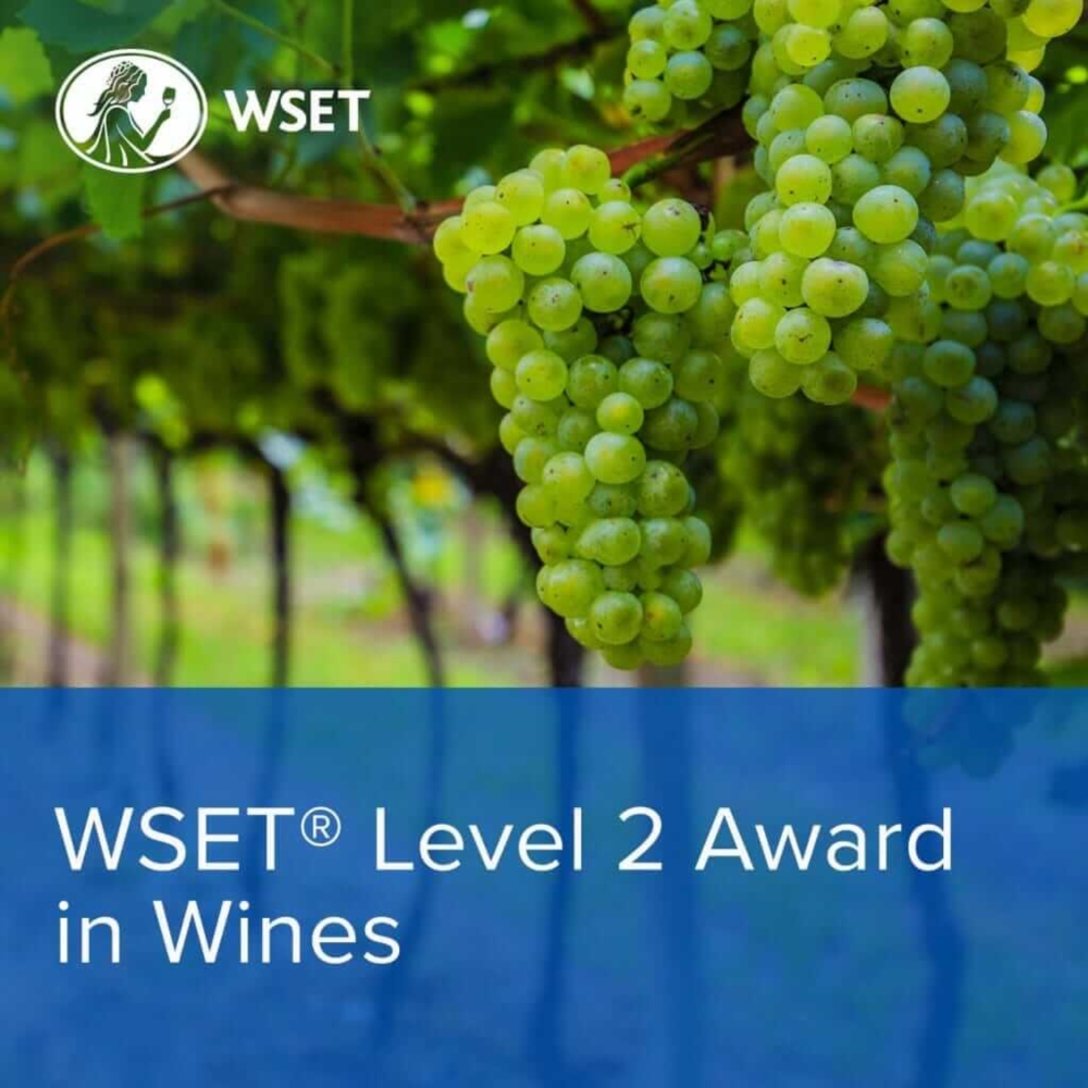 WSET Niveau 2 en vins