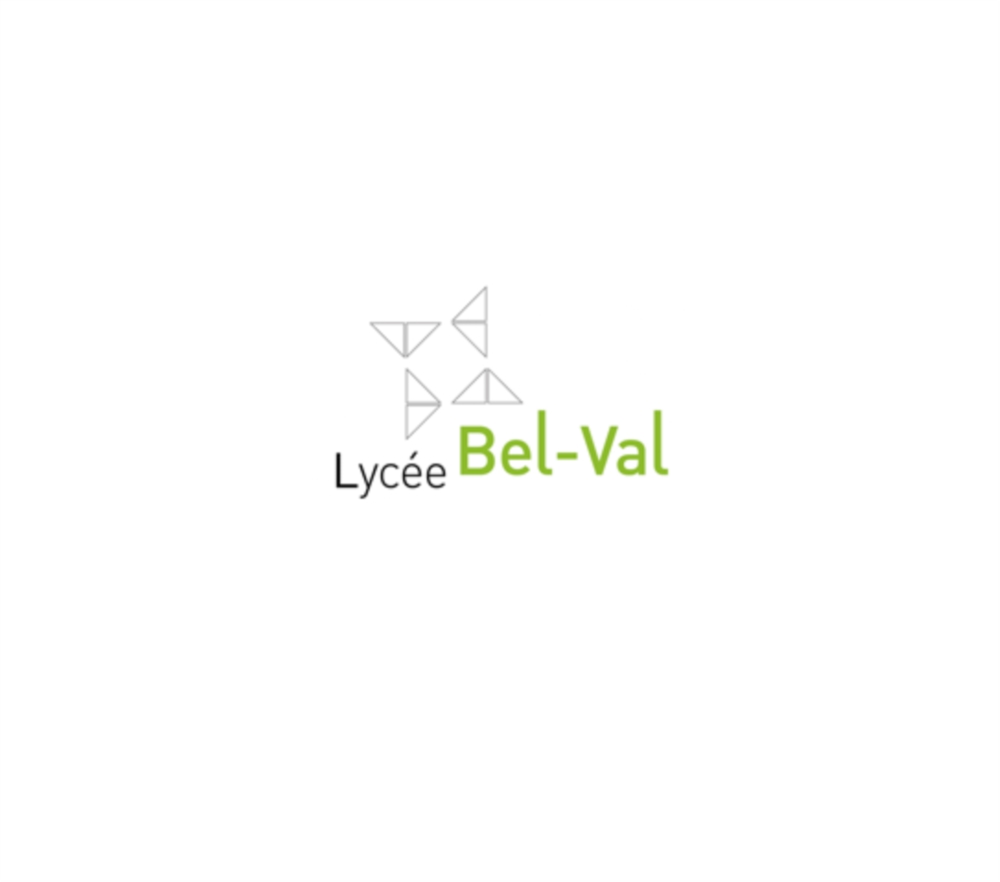 Diplôme d'aptitude professionnelle (DAP)