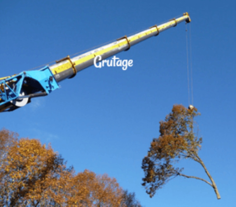 Grutage