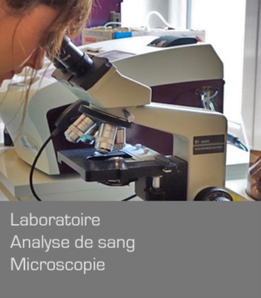 Laboratoire