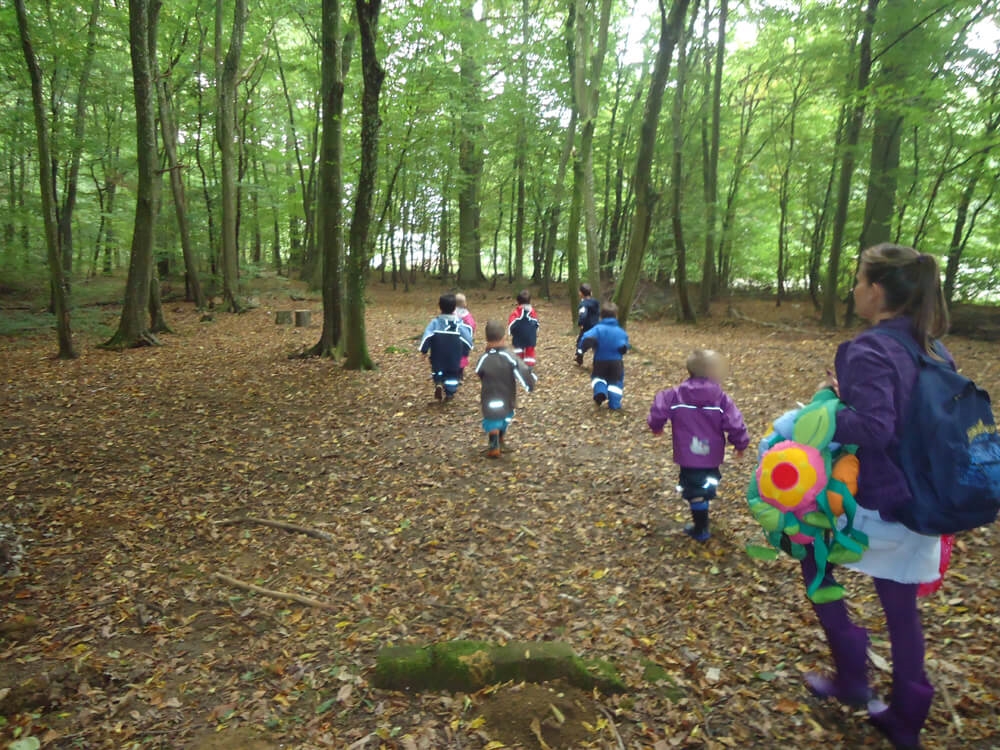 Sorties quotidiennes (forêt ou plaine de jeux)