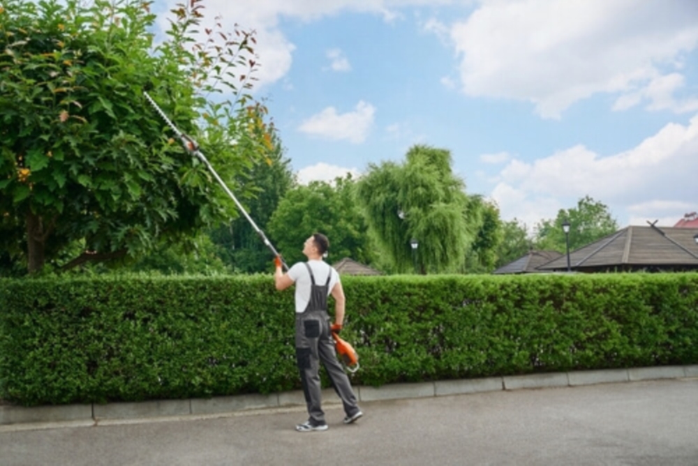 Aménagement et Entretien d'espaces verts 